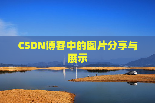 CSDN博客中的图片分享与展示